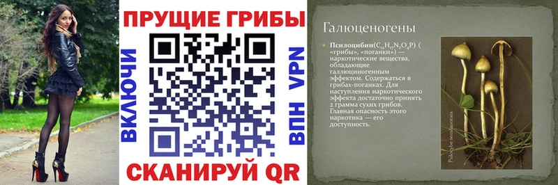Псилоцибиновые грибы прущие грибы  Оренбург 