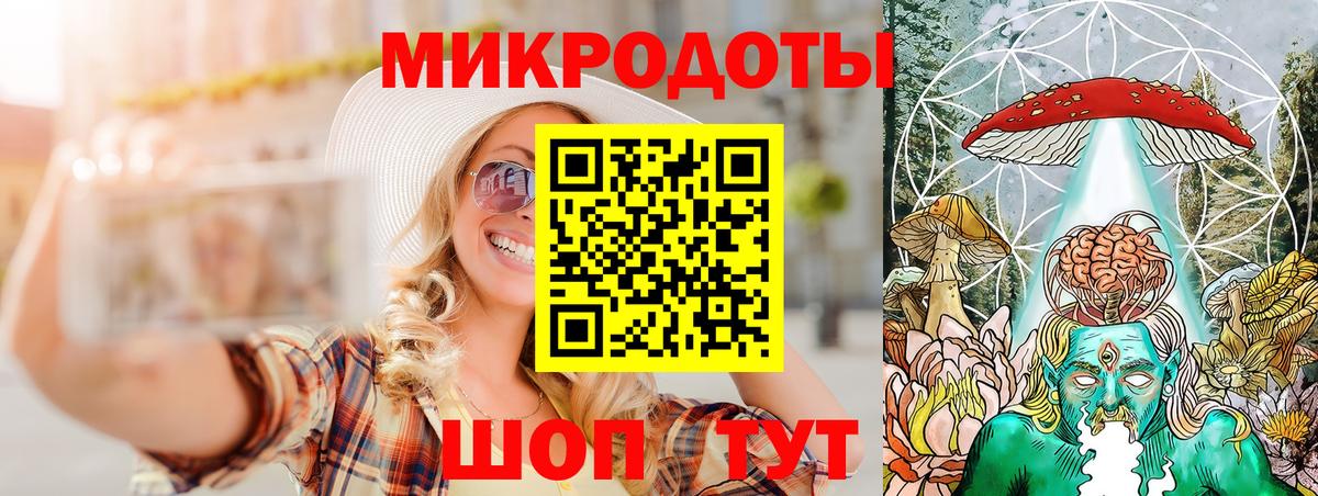 Псилоцибиновые грибы Psilocybe Оренбург