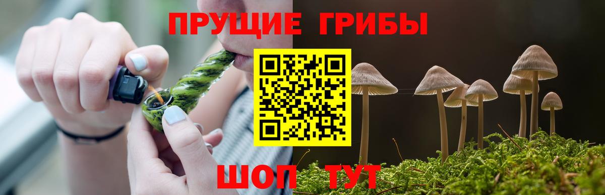 Оренбург  Псилоцибиновые грибы Psilocybe  Вход с VPN  Псилоцибиновые грибы Psilocybine cubensis 